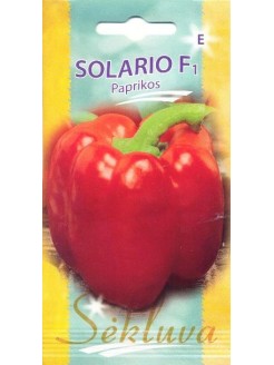 Peperone 'Solario' H, 100 semi