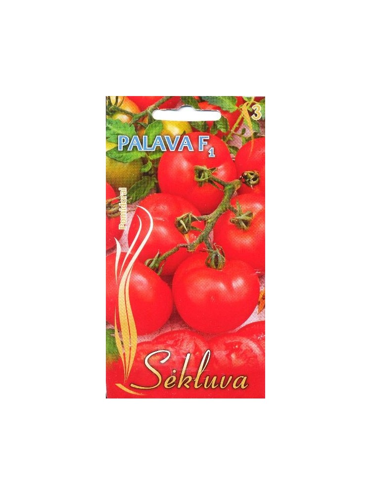 Pomidor zwyczajny 'Palava' H, 15 nasion