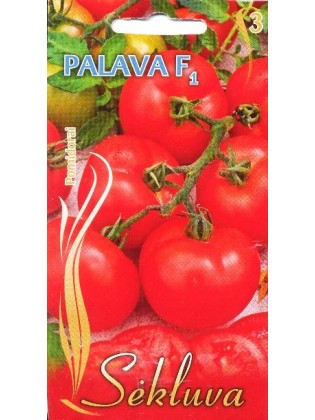 Harilik tomat 'Palava' H, 15 seemned