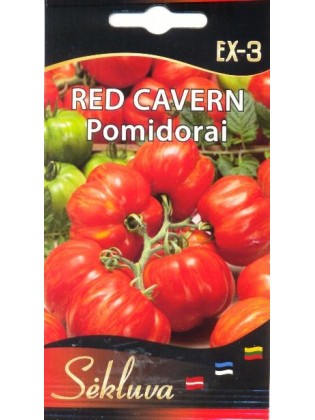 Pomidor zwyczajny 'Red Cavern' 10 nasion