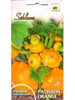 Pattypan squash 'Orange' 1 g