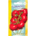 Pomidor zwyczajny 'Florenzia' H, 10 nasion