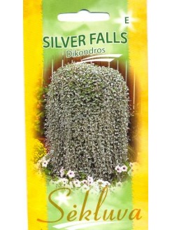 Silver ponysfoot 'Silver Falls' 10 seeds