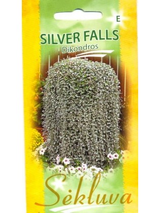 Dichondros sidabrinės 'Silver Falls' 8 sėklos