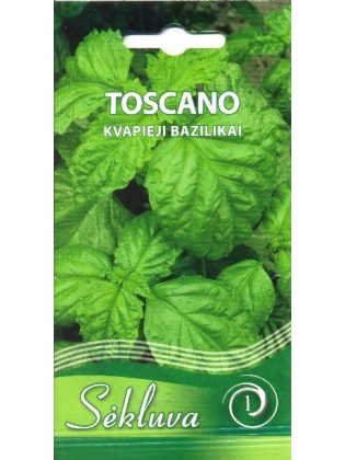 Sweet basil 'Toscano' 1 g