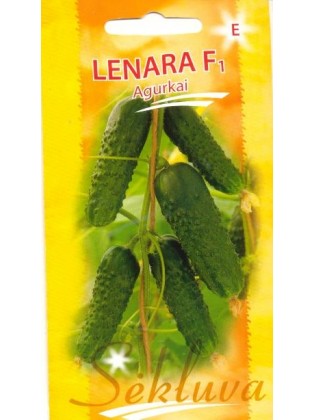 Einlegegurke 'Lenara' H, 20 Samen
