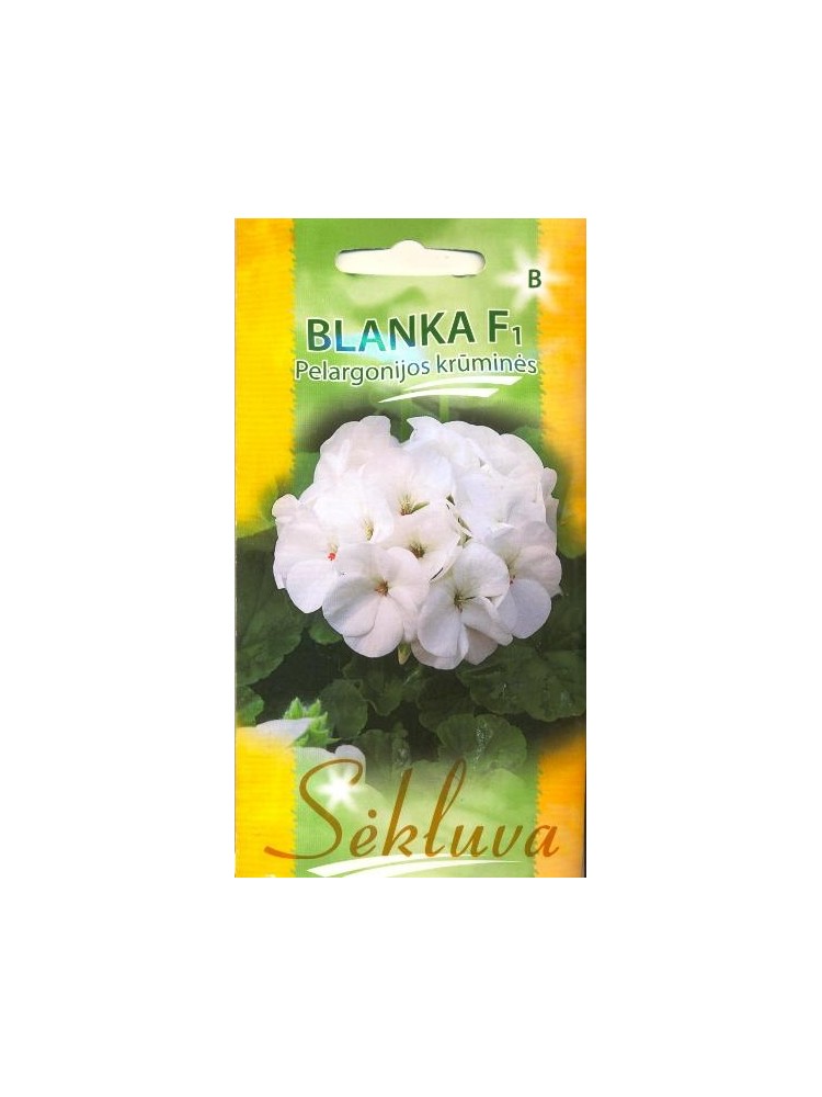 Pelargonijos juostuotosios 'Blanka' H, 5 sėklos