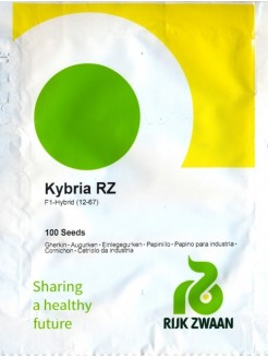 Ogórek siewny 'Kybria' H, 100 nasion