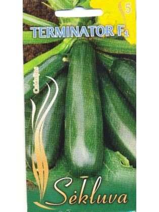 Zucchini 'Terminator' H, 7 Samen