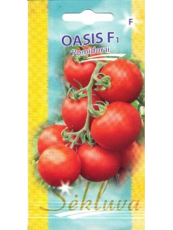 Pomidorai valgomieji 'Oasis' H, 10 sėklų