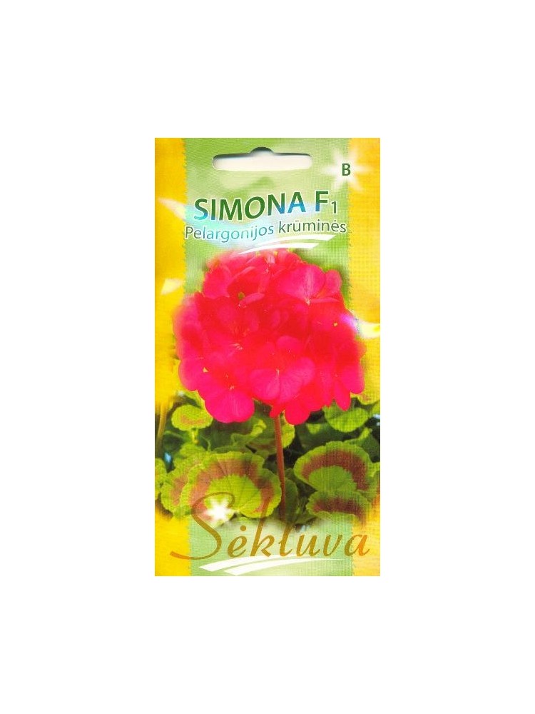 Pelargonijos juostuotosios 'Simona' H, 5 sėklos