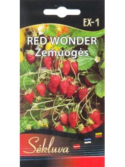 Wald-Erdbeere 'Red Wonder' 0,2 g