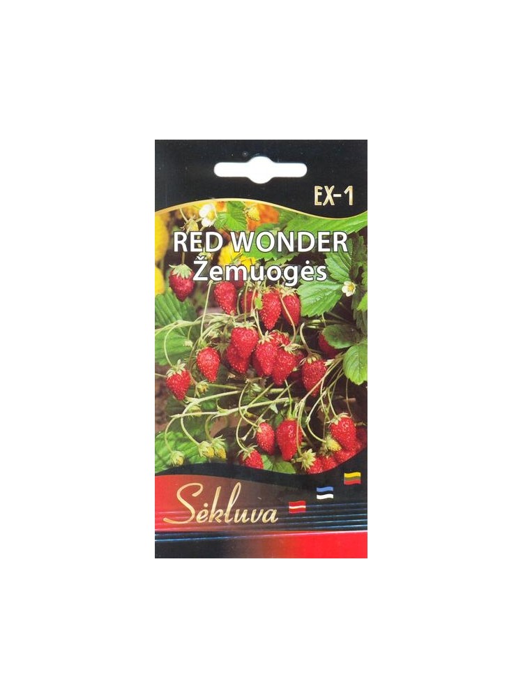 Žemuogės 'Red Wonder' 0,1 g