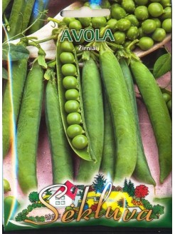 Gartenerbse 'Avola' 50 g
