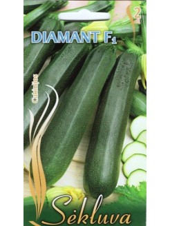 Zucchini 'Diamant' H, 6 Samen