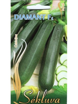 Zucchini 'Diamant' H, 6 Samen