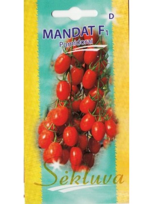 Tomate 'Mandat' H, 8 Samen