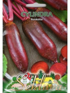 Rote Bete 'Cylindra' 30 g