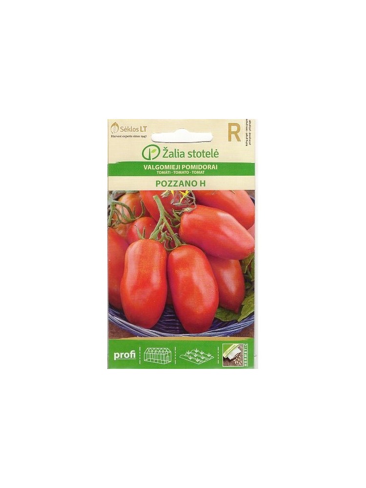 Pomidor zwyczajny 'Pozzano' H, 7 nasion