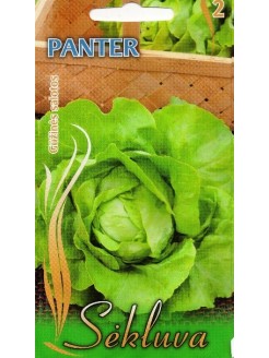 Lettuce 'Panter' 1 g