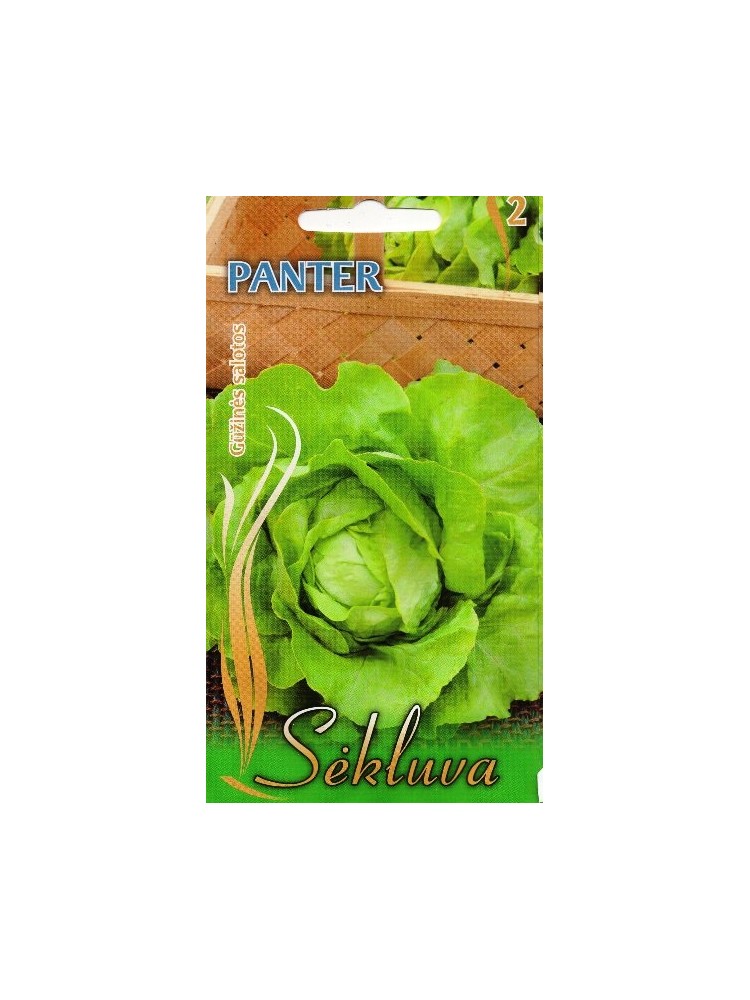 Gartensalat 'Panter' 1 g