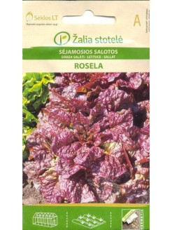 Salotos sėjamosios 'Rosella' 1 g