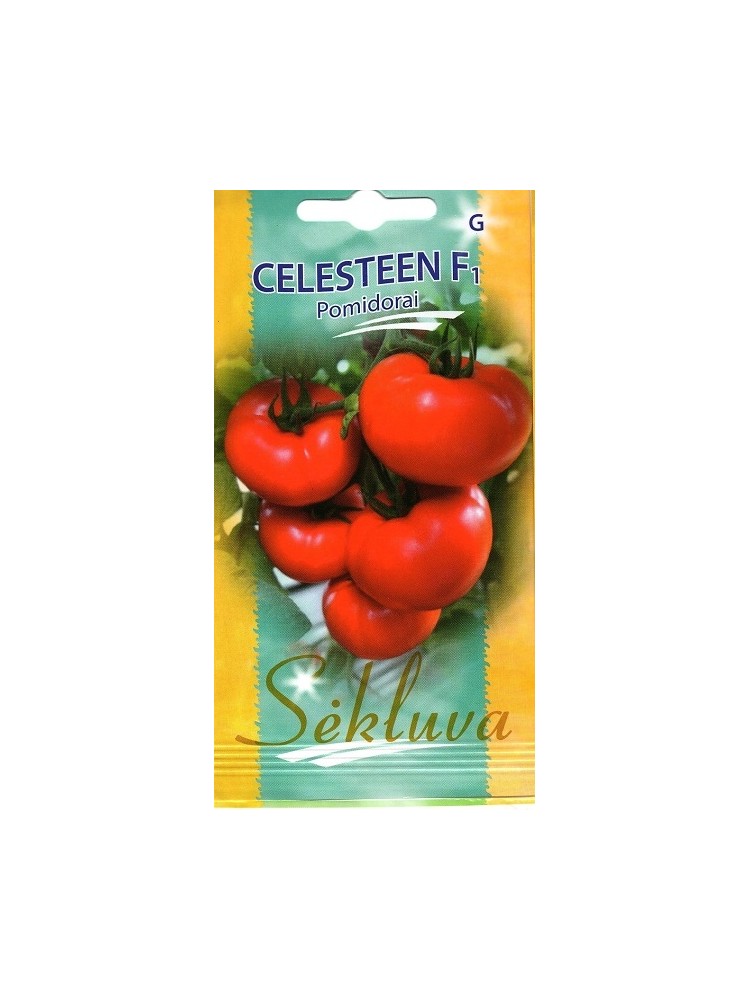 Pomidor zwyczajny 'Celesteen' H, 10 nasion