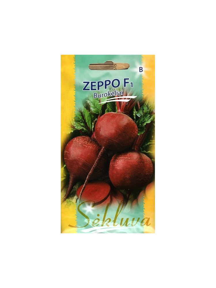 Burak ćwikłowy 'Zeppo' H, 250 nasion
