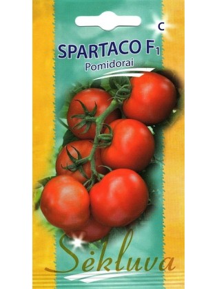 Pomidor zwyczajnyi 'Spartaco' H, 10 nasion