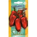 Harilik tomat 'Corsaro' H, 10 seemet