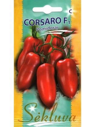 Tomate 'Corsaro' H, 10 Samen