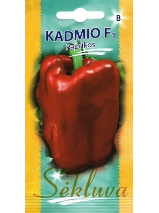 Paprika 'Kadmio' H, 10 Samen