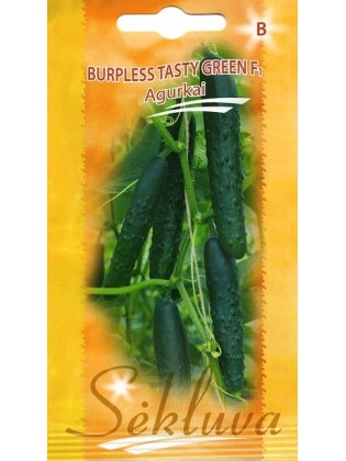 Ogórek 'Burpless Tasty Green' H, 10 nasion