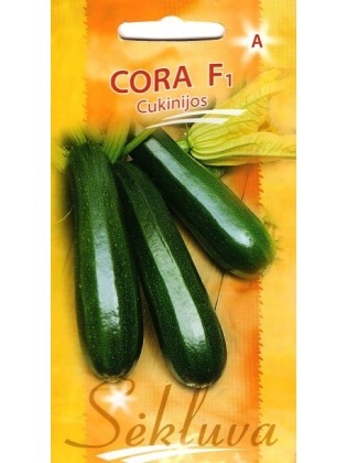 Zucchini 'Cora' H, 5 Samen