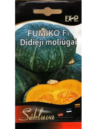Dynia olbrzymia 'Fumiko' H, 5 nasion