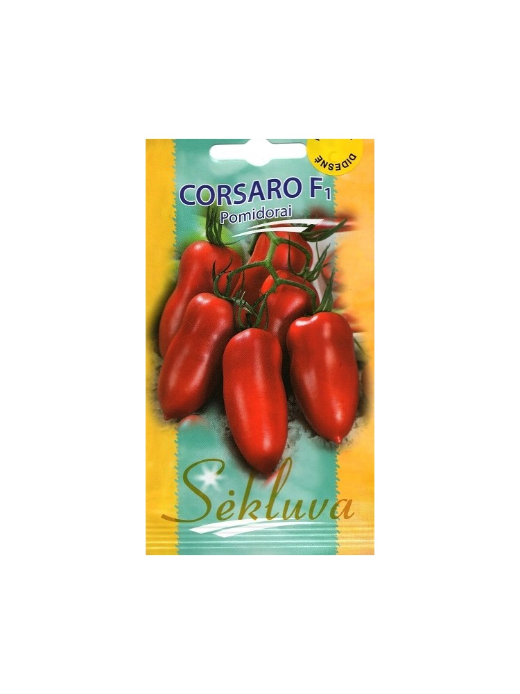 Pomidor zwyczajnyi 'Corsaro' H, 100 nasion