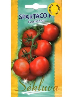 Pomidorai valgomieji 'Spartaco' H, 100 sėklų
