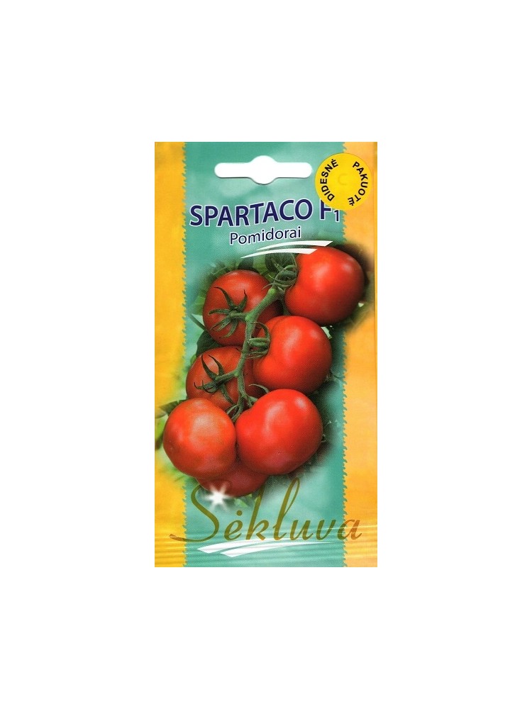 Pomidorai valgomieji 'Spartaco' H, 100 sėklų