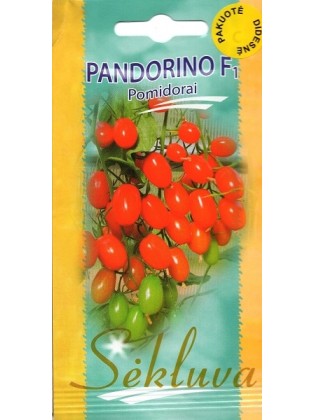 Pomidor zwyczajny 'Pandorino' H, 100 nasion
