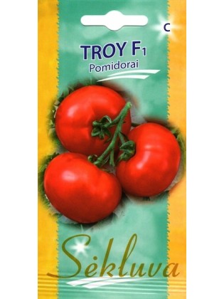 Pomidor zwyczajnyi 'Troy' H, 10 nasion