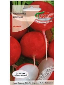 Rzodkiewka 'Carmesa' 5 g