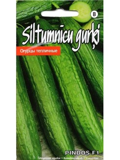 Cucumber 'Pindos' H, 7 seeds