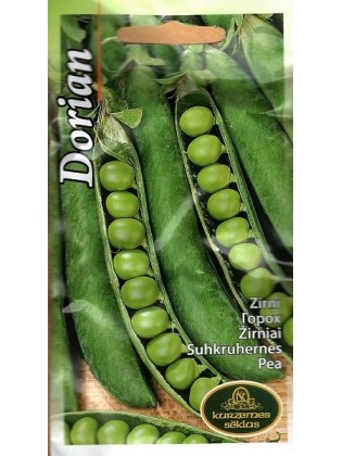 Gartenerbse 'Dorian' 15 g