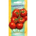 Pomidorai 'Fantasio' H, 10 sėklų
