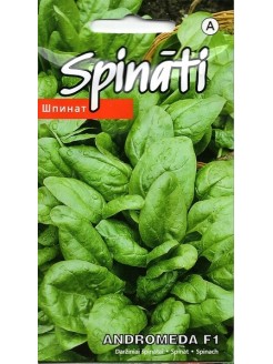 Spinach 'Andromeda' H, 2 g