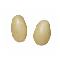 Bulvės sėklinės 'Queen Anne' 2 kg