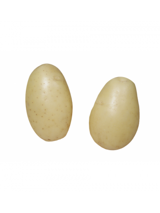 Bulvės sėklinės 'Queen Anne' 5 kg