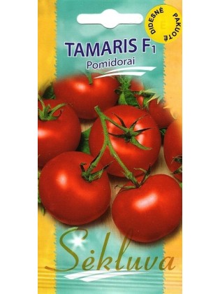 Tomate 'Tamaris' H, 100 Samen