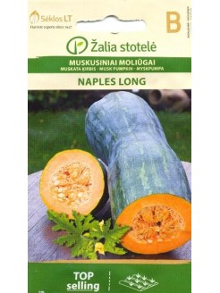 Dynia piżmowa 'Naples Long' 1,5 g