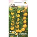 Tomate 'Goldkrone' 0,2 g